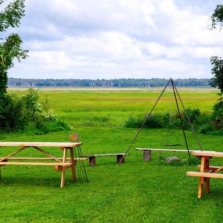 Hôtel Wilcza Nora - Pole Biwakowe à Dolistowo Nowe Extérieur photo